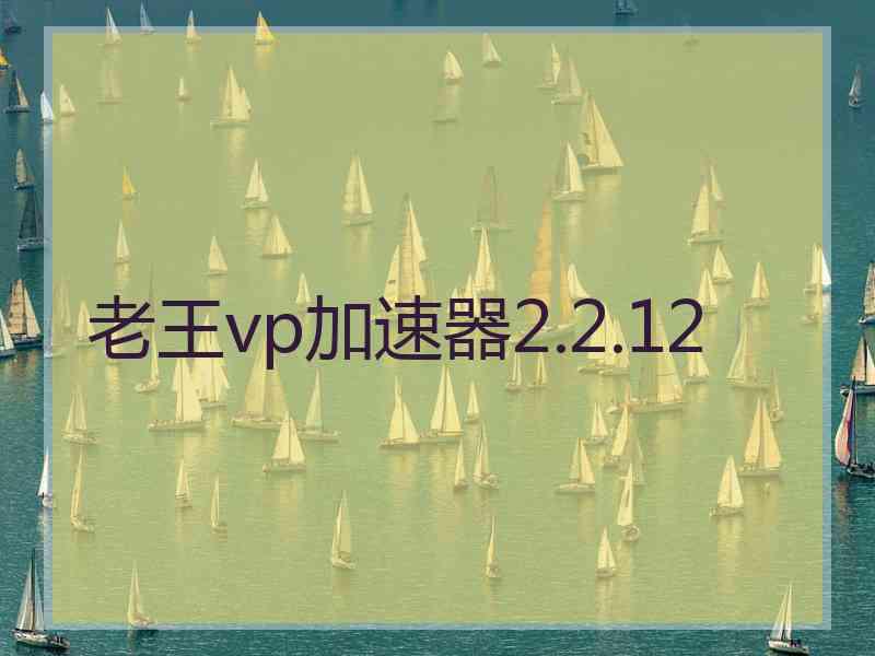 老王vp加速器2.2.12