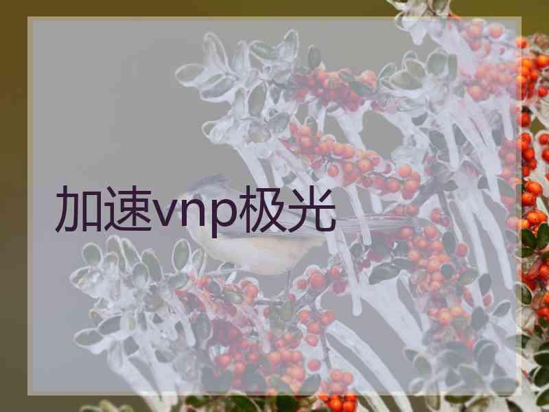 加速vnp极光