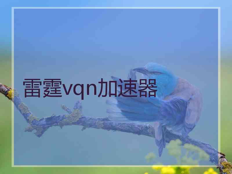 雷霆vqn加速器