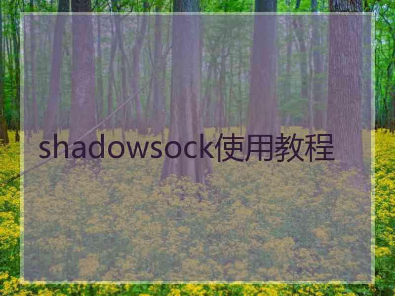 shadowsock使用教程