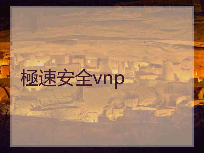 極速安全vnp