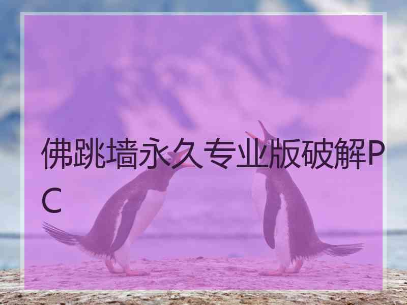 佛跳墙永久专业版破解PC