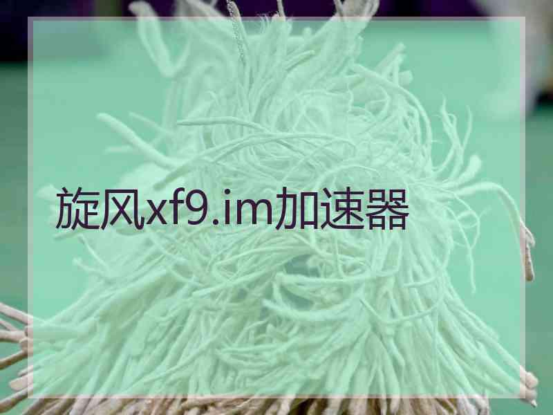 旋风xf9.im加速器