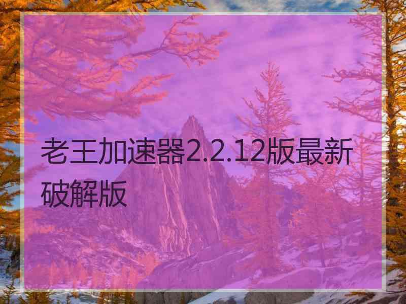 老王加速器2.2.12版最新破解版