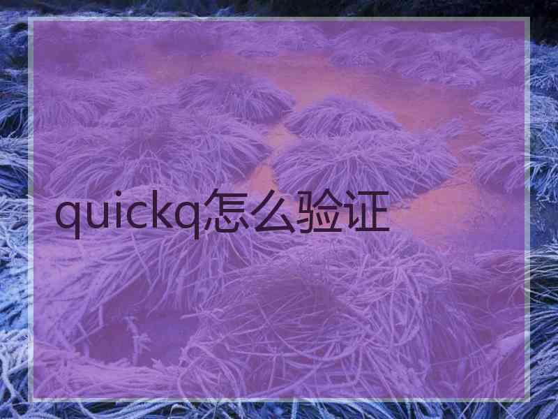 quickq怎么验证