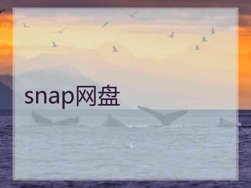 snap网盘