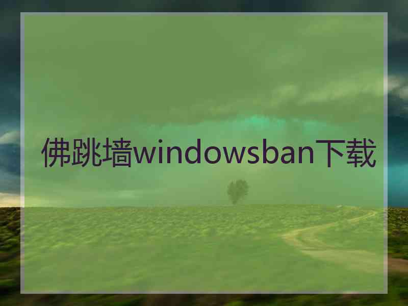 佛跳墙windowsban下载