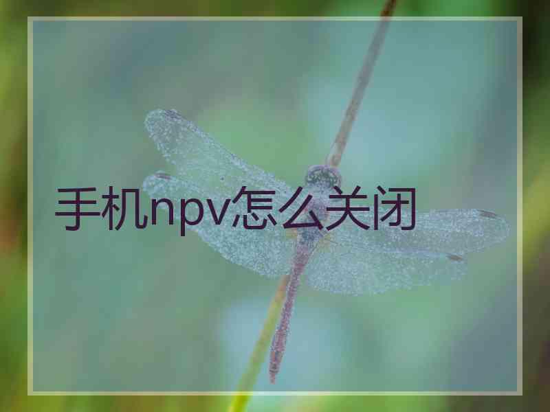 手机npv怎么关闭