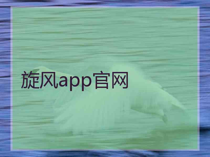 旋风app官网