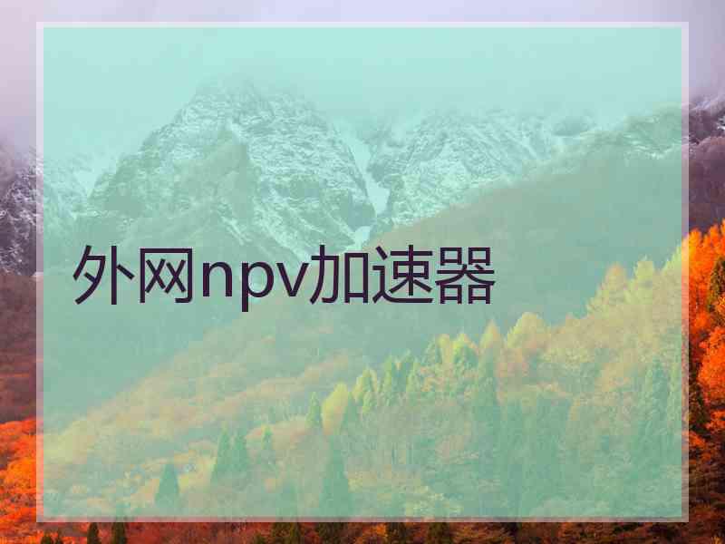 外网npv加速器