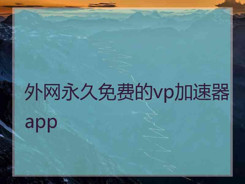 外网永久免费的vp加速器app