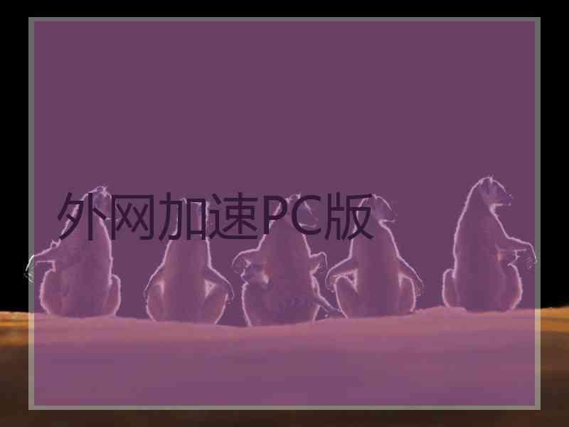 外网加速PC版