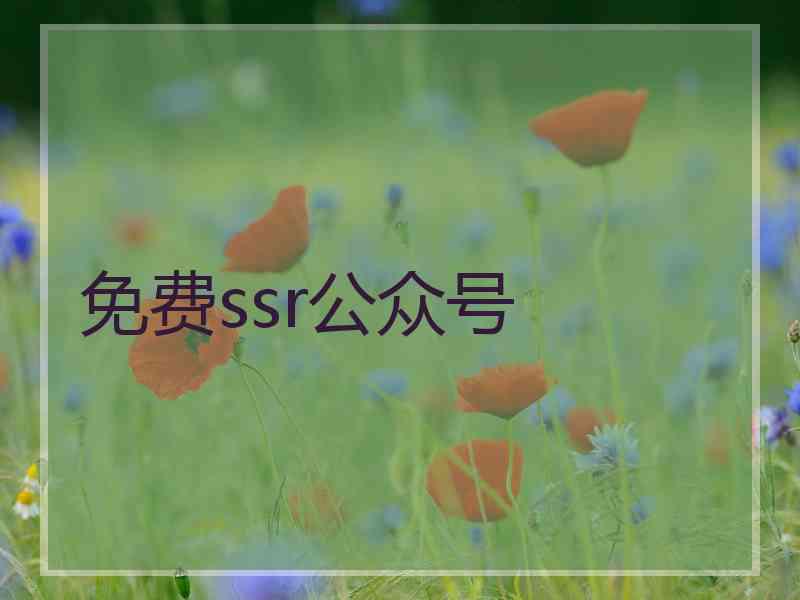 免费ssr公众号