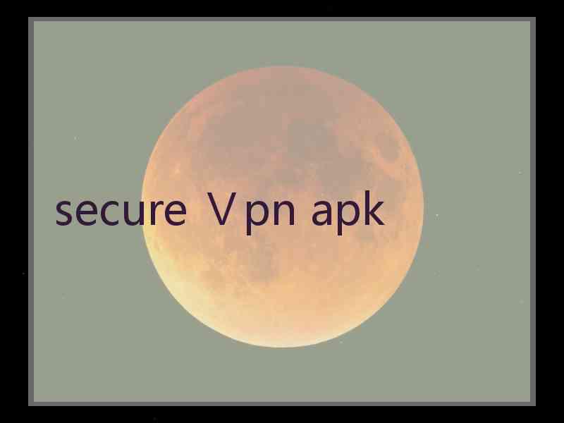 secure Ⅴpn apk