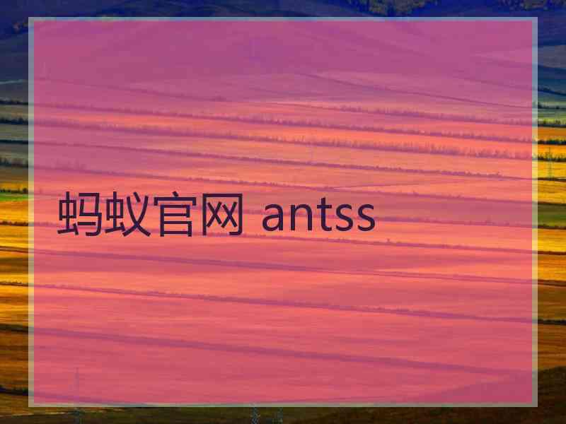 蚂蚁官网 antss