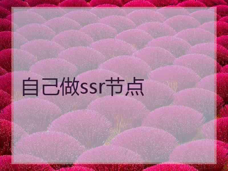 自己做ssr节点