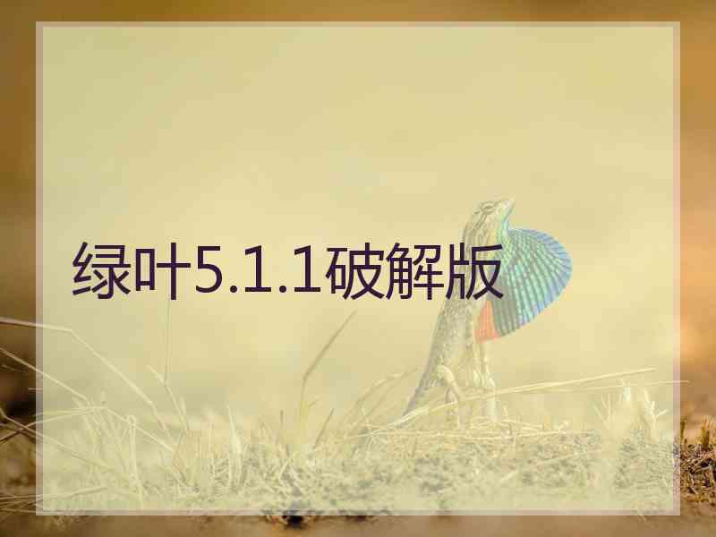 绿叶5.1.1破解版